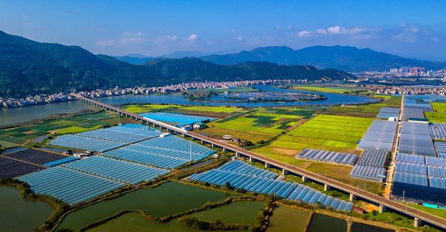 球客岛指定通道